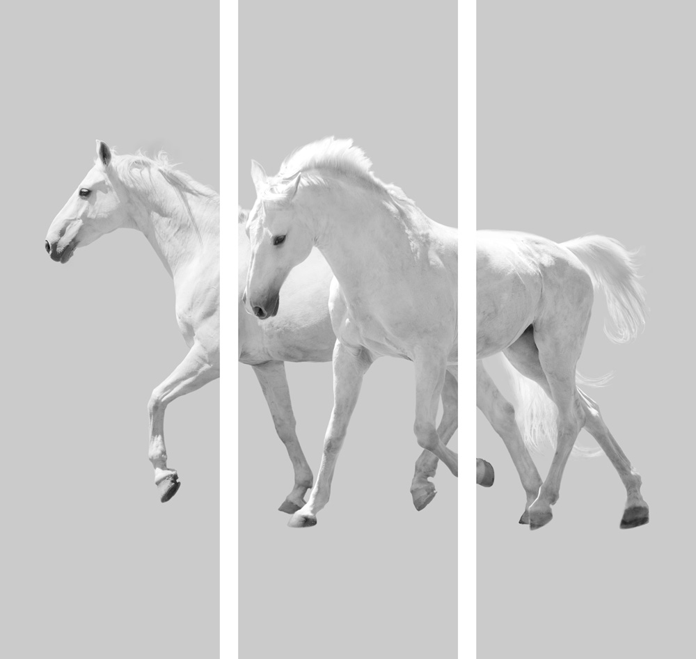 AL00070_SO3 24" x 72" each