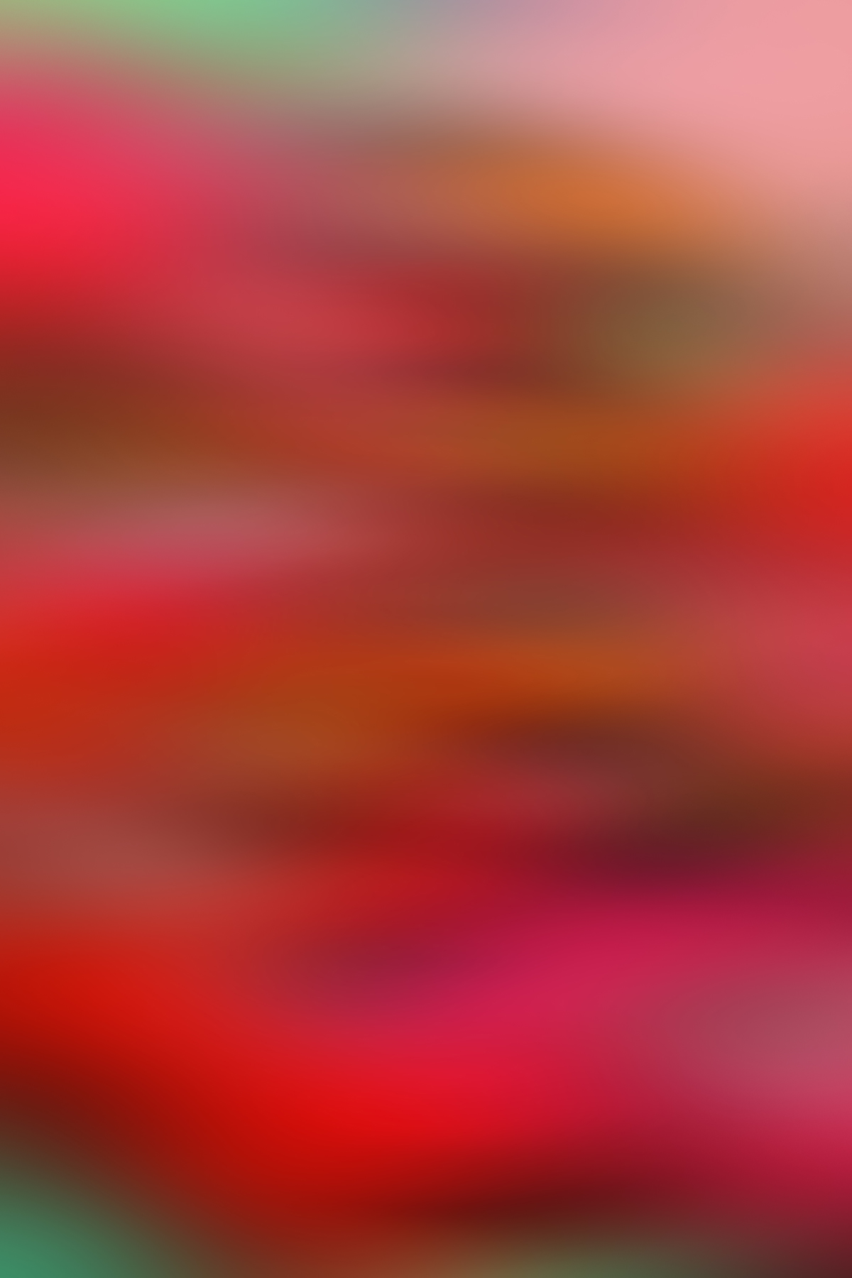 AL07058 (AD02335)