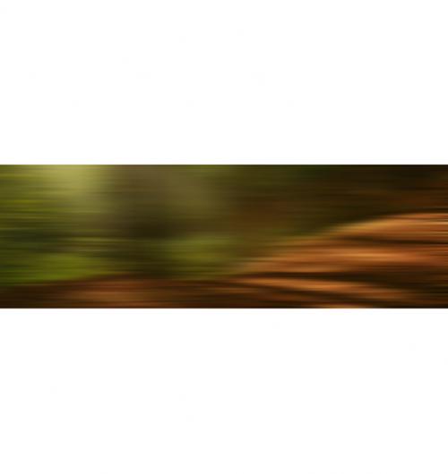 AL07087 (AD02295)