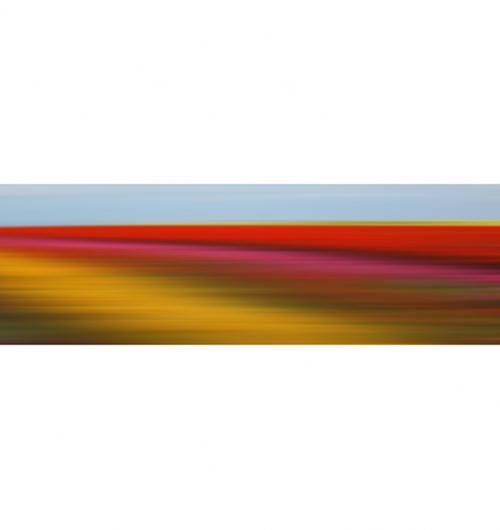 AL07086 (AD02296)