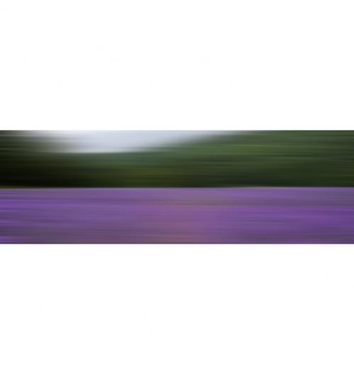 AL07085 (AD02297)