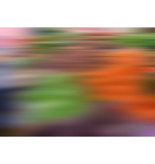 AL07056 (AD02337)