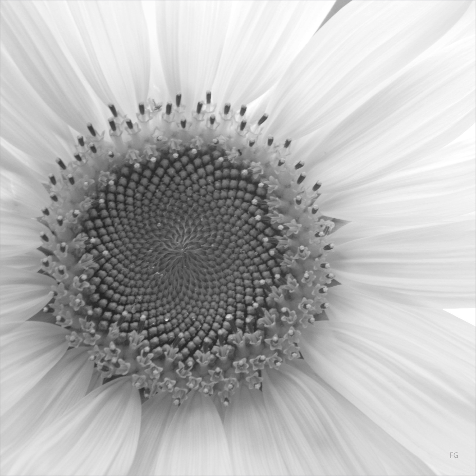 AL00013