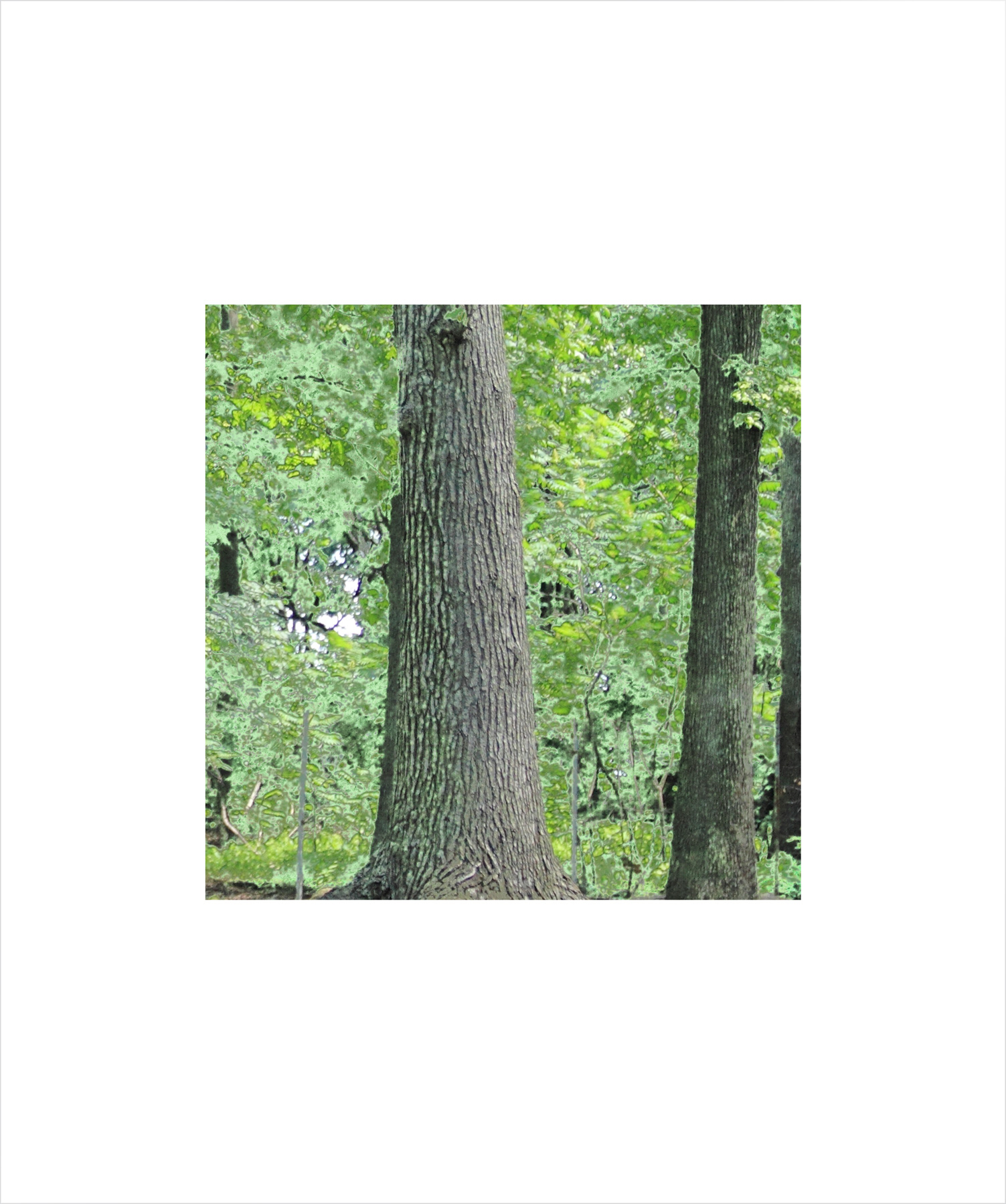 AL00055_BX