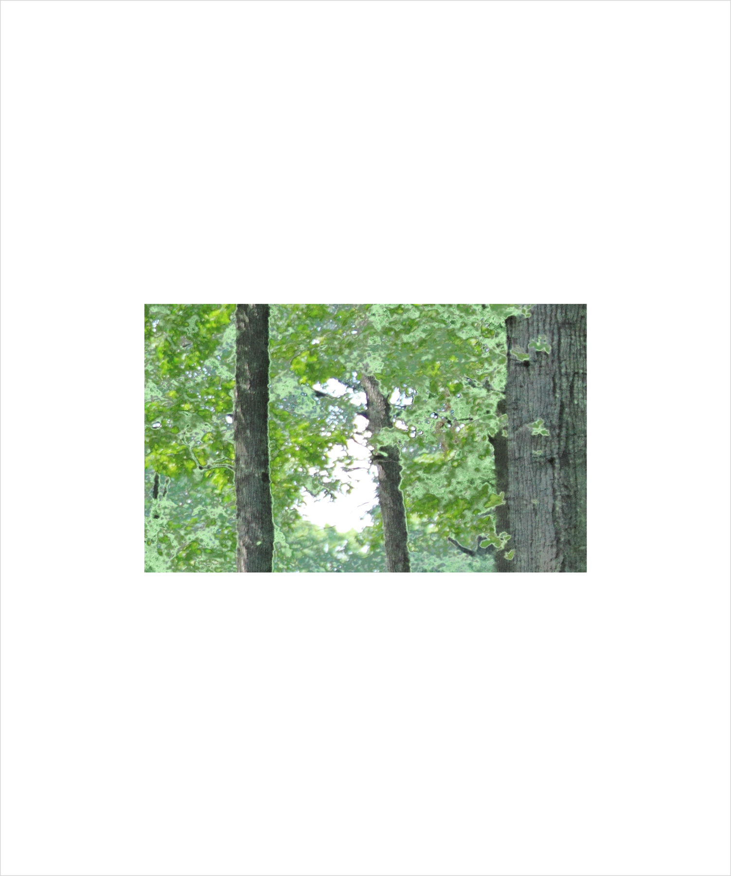 AL00056_BX