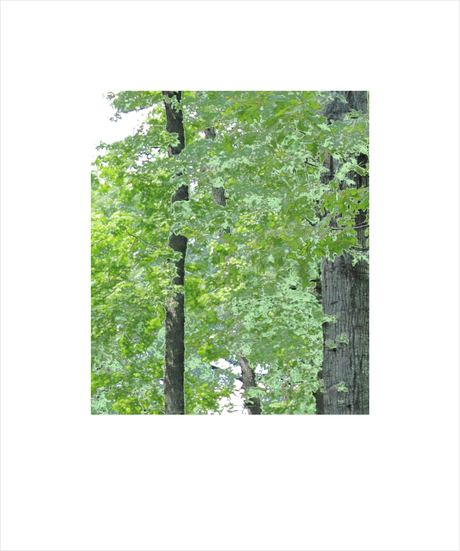 AL00057_BX