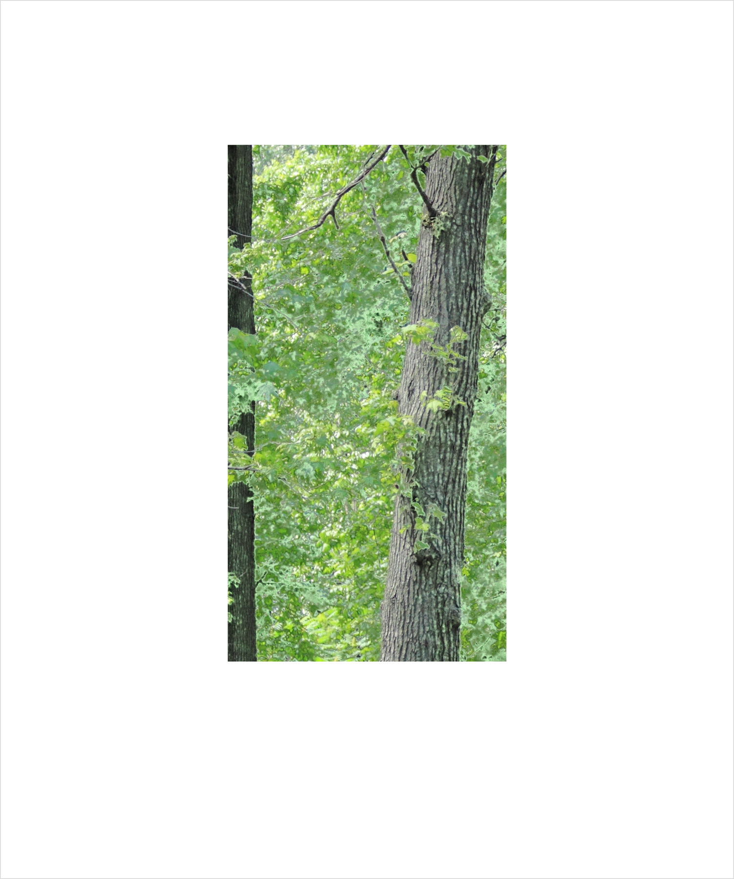 AL00058_BX