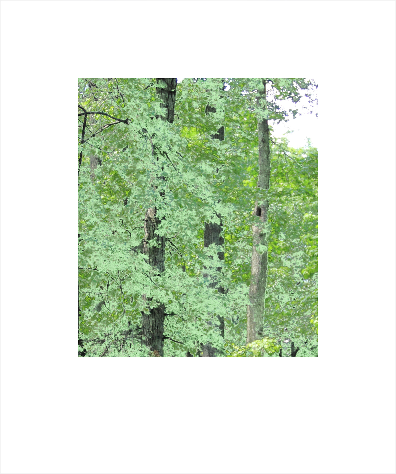 AL00062_BX