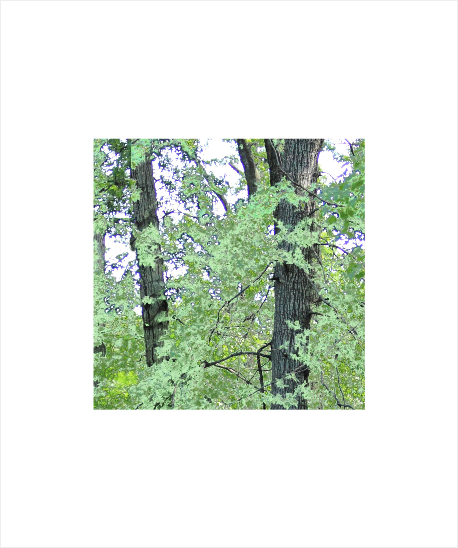 AL00063_BX