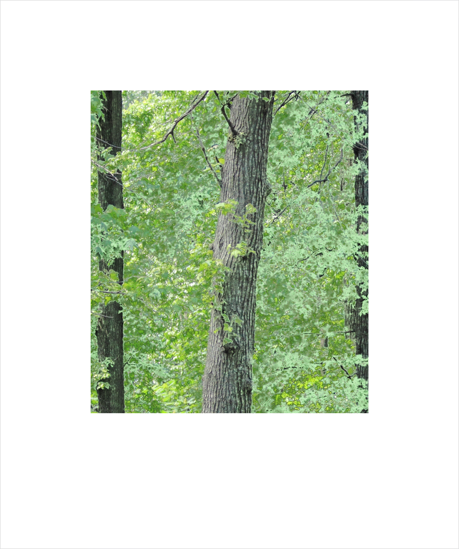 AL00064_BX