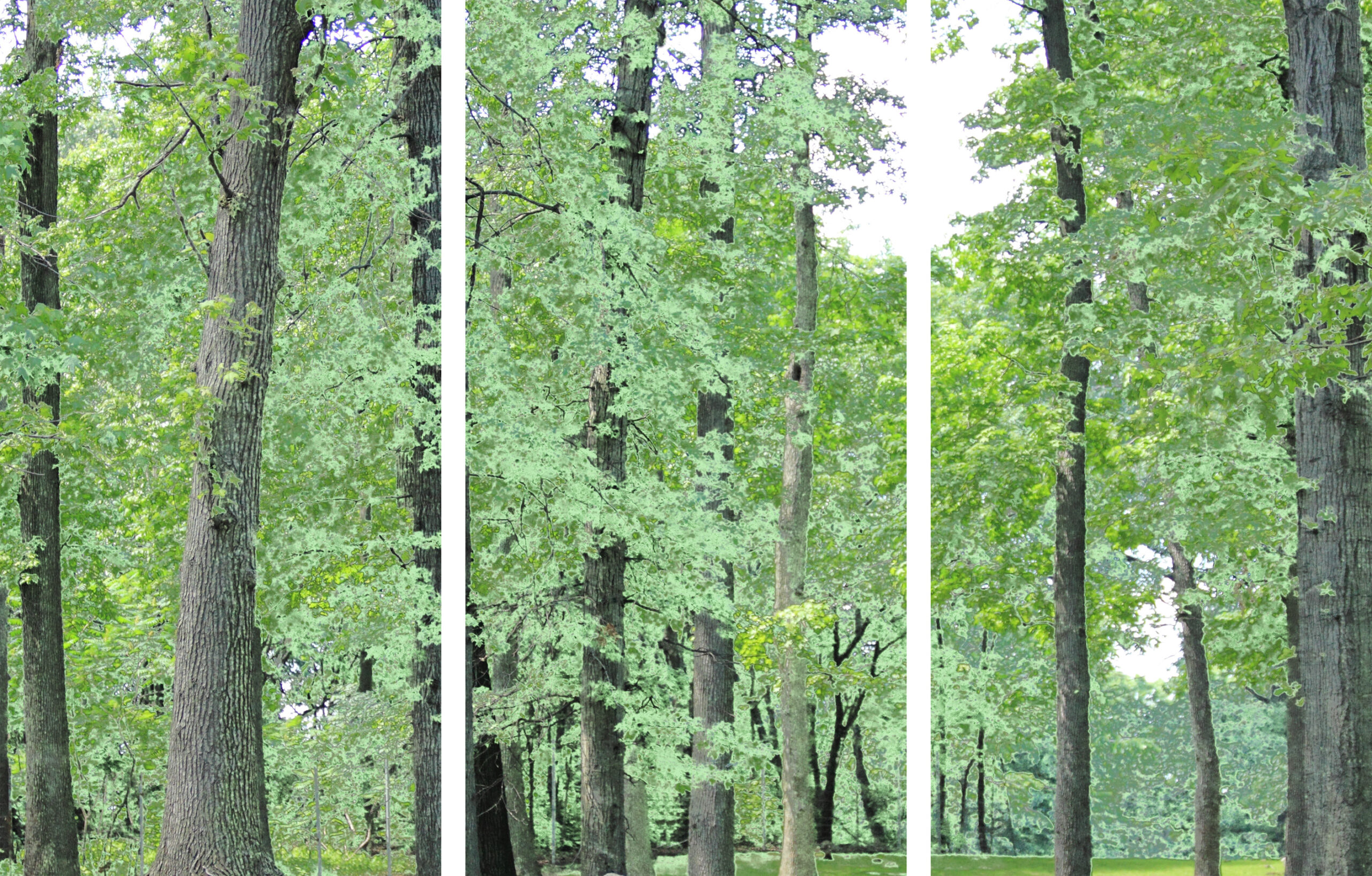AL00065