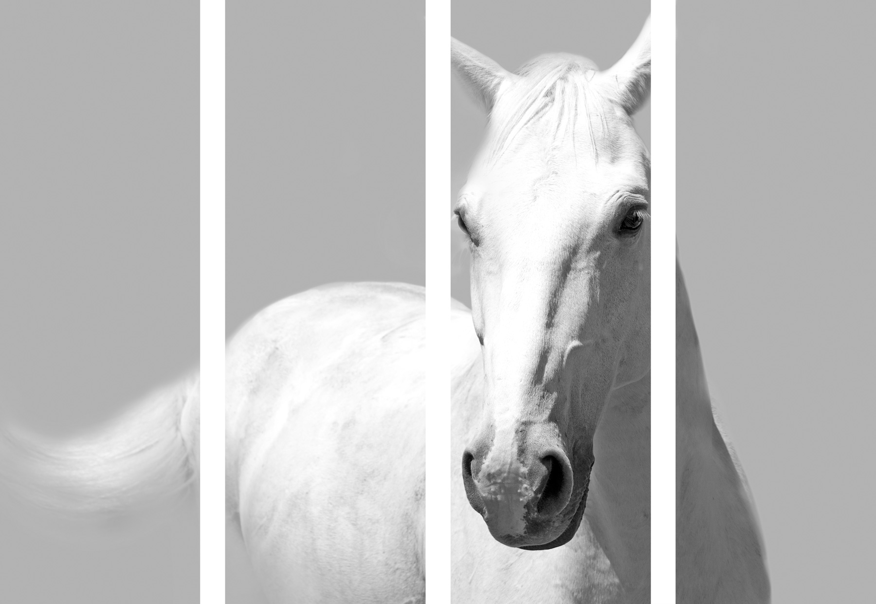 AL00068_4P