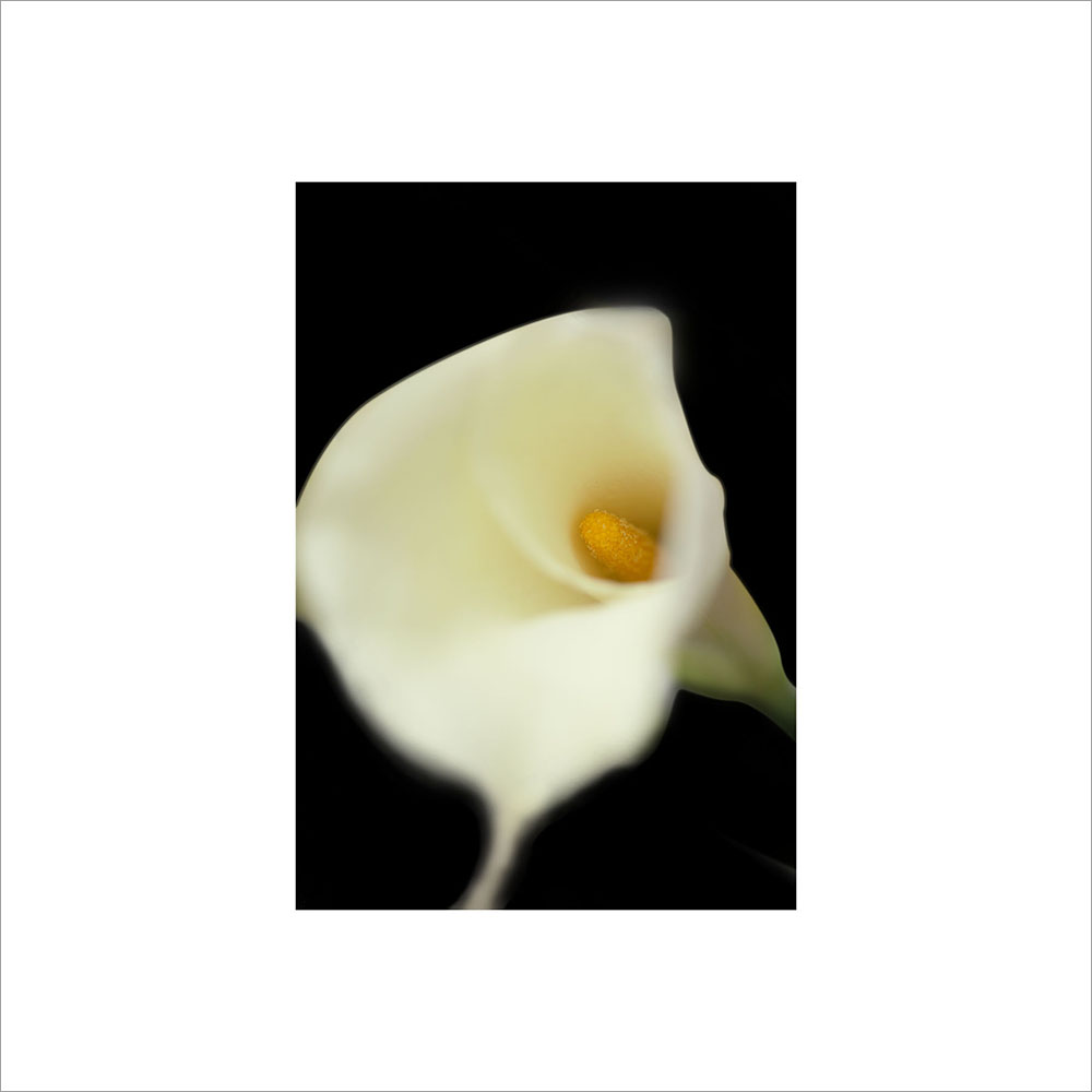 AL00091