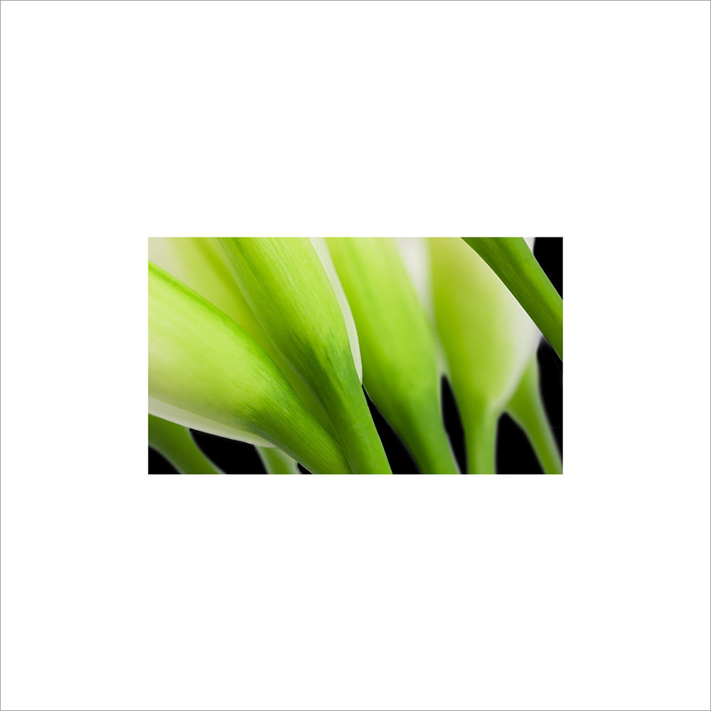 AL00092