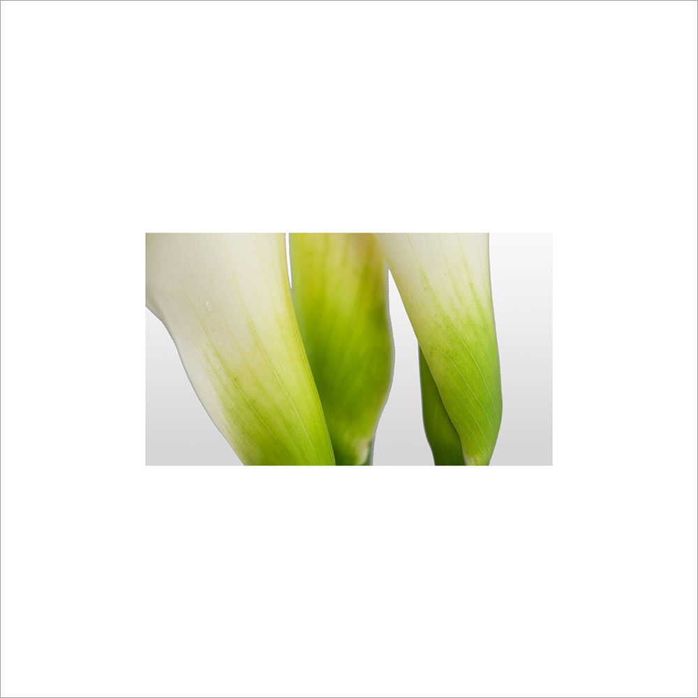 AL00095