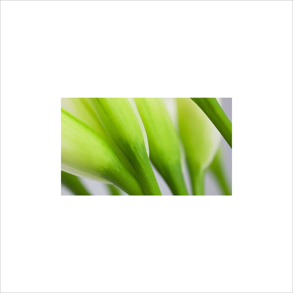AL00096