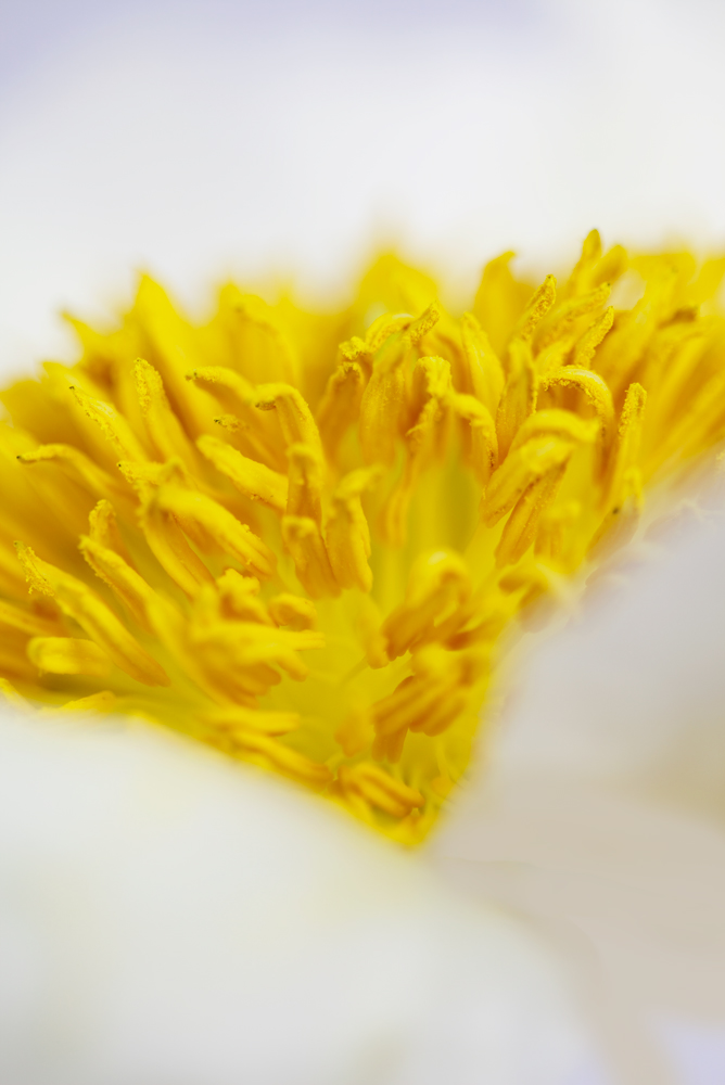 AL00173