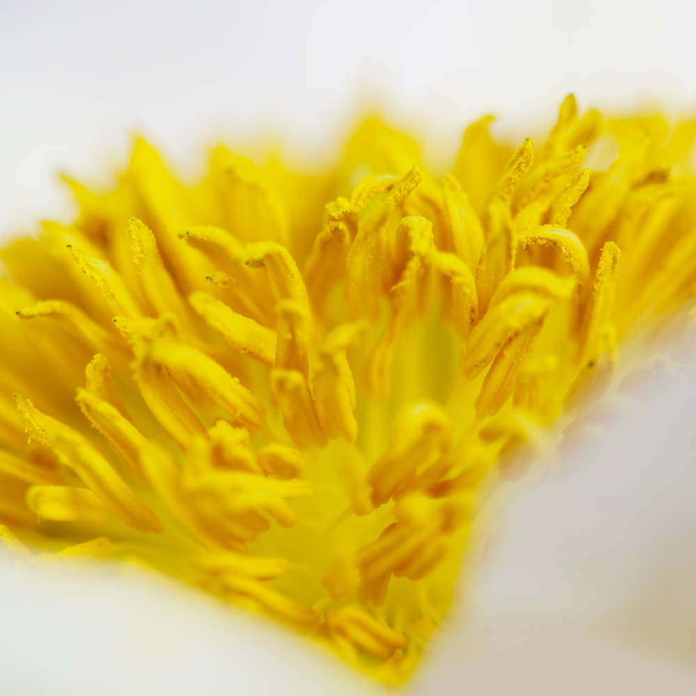 AL00173_sq