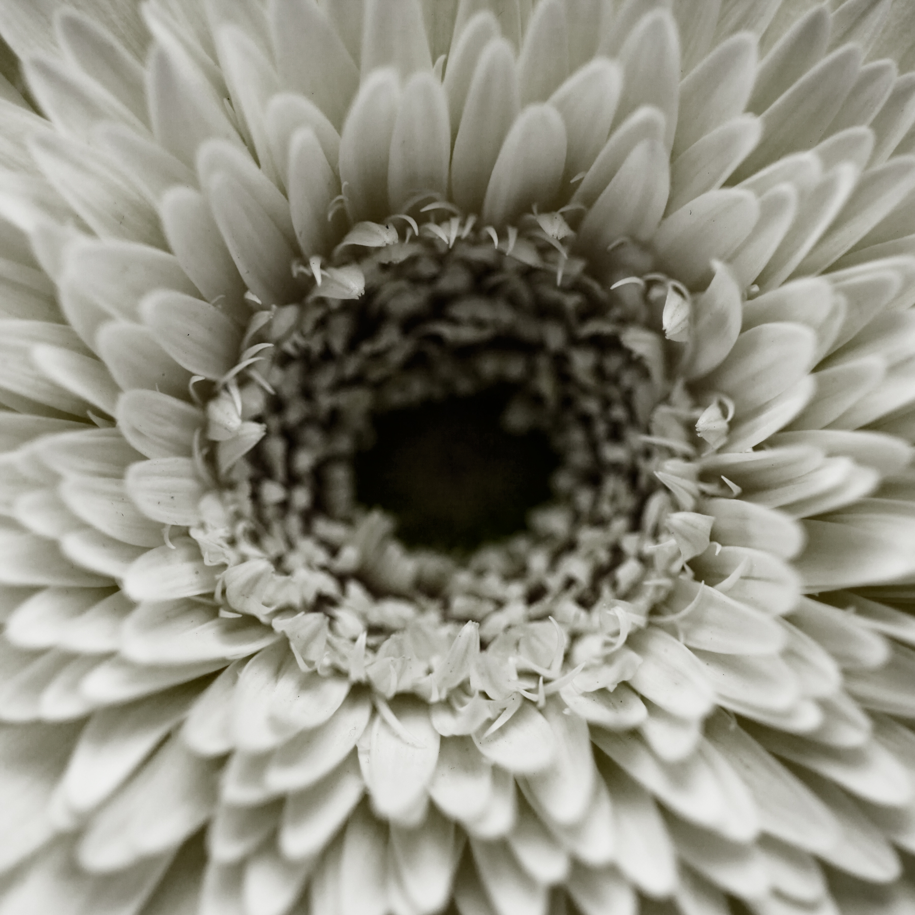 AL00178_SQ