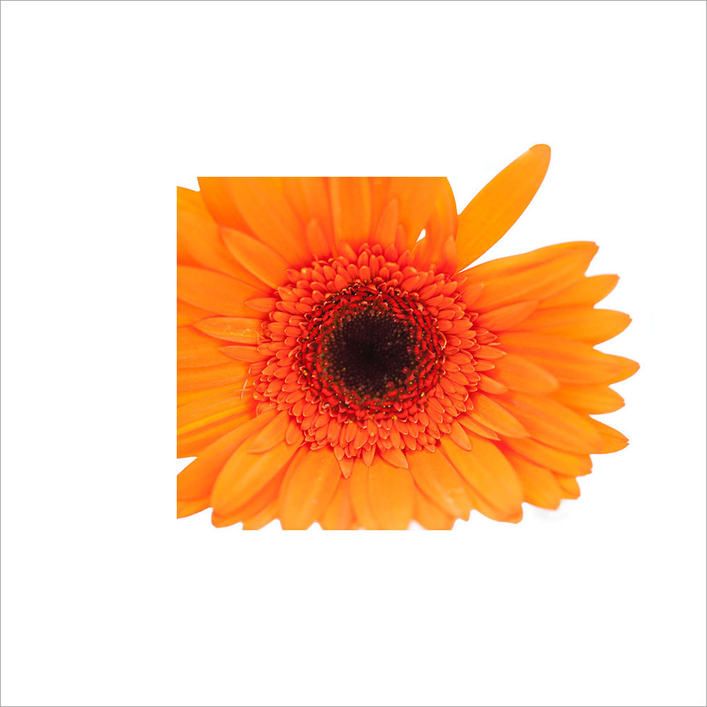AL00187