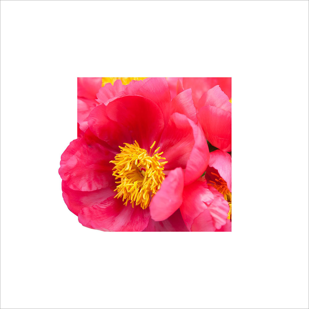 AL00188