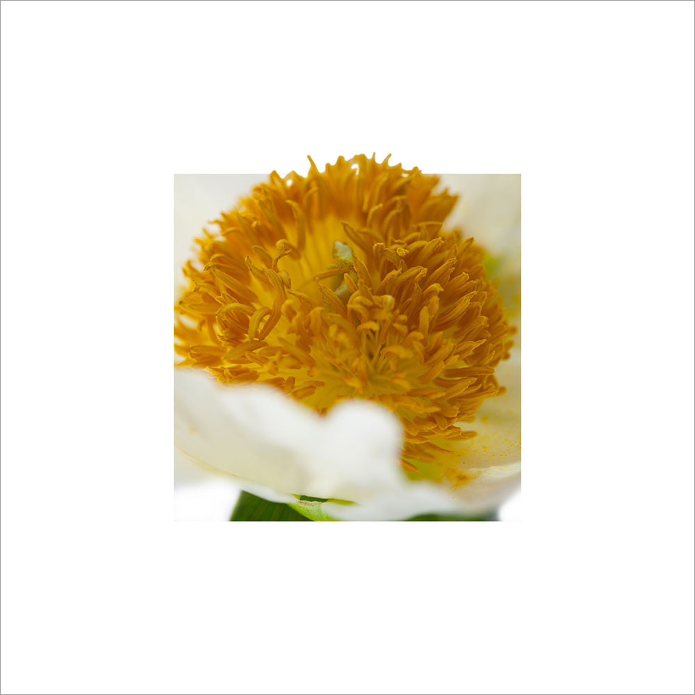 AL00190