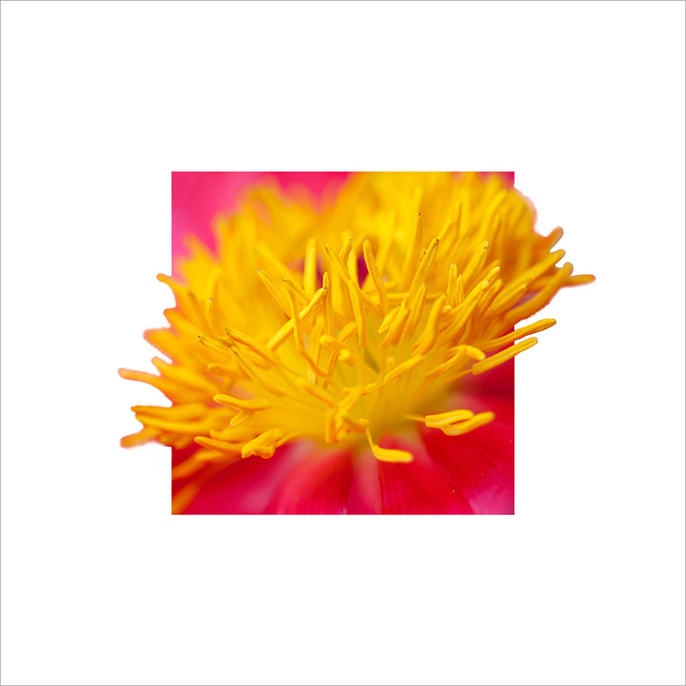 AL00192