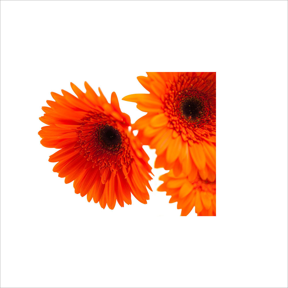 AL00194
