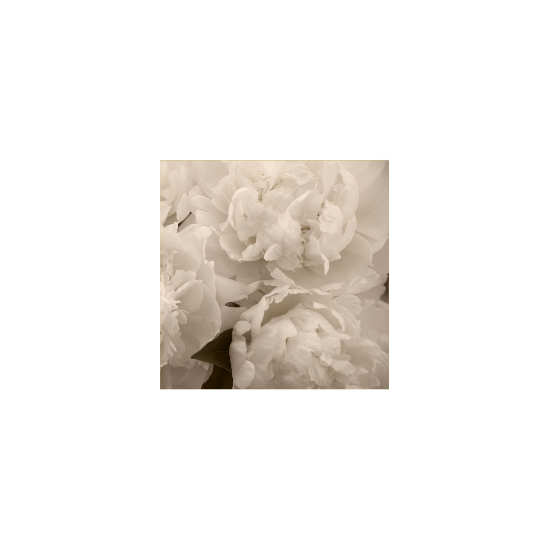 AL00195