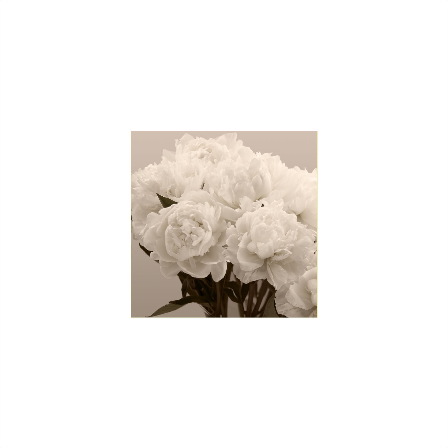 AL00196