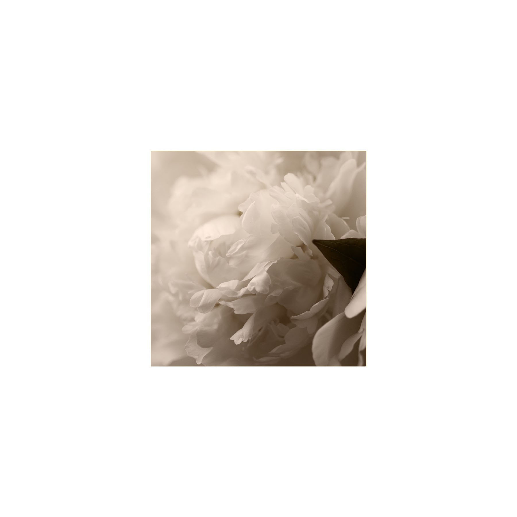 AL00198