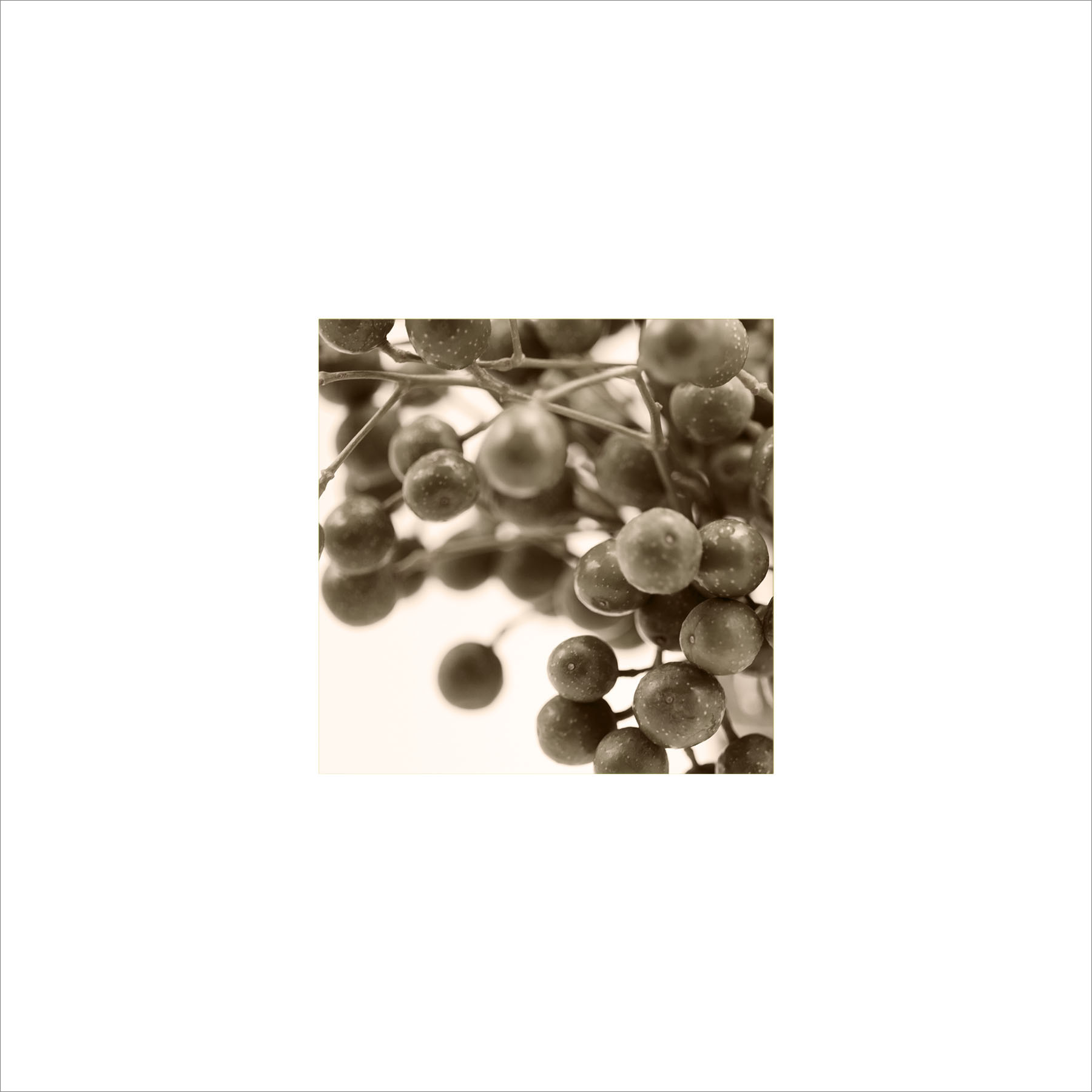 AL00199