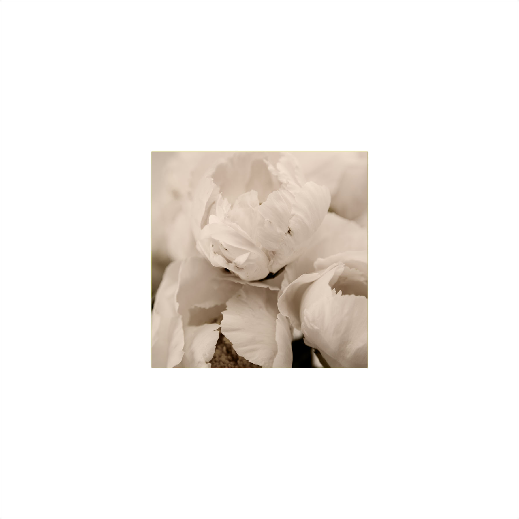 AL00201