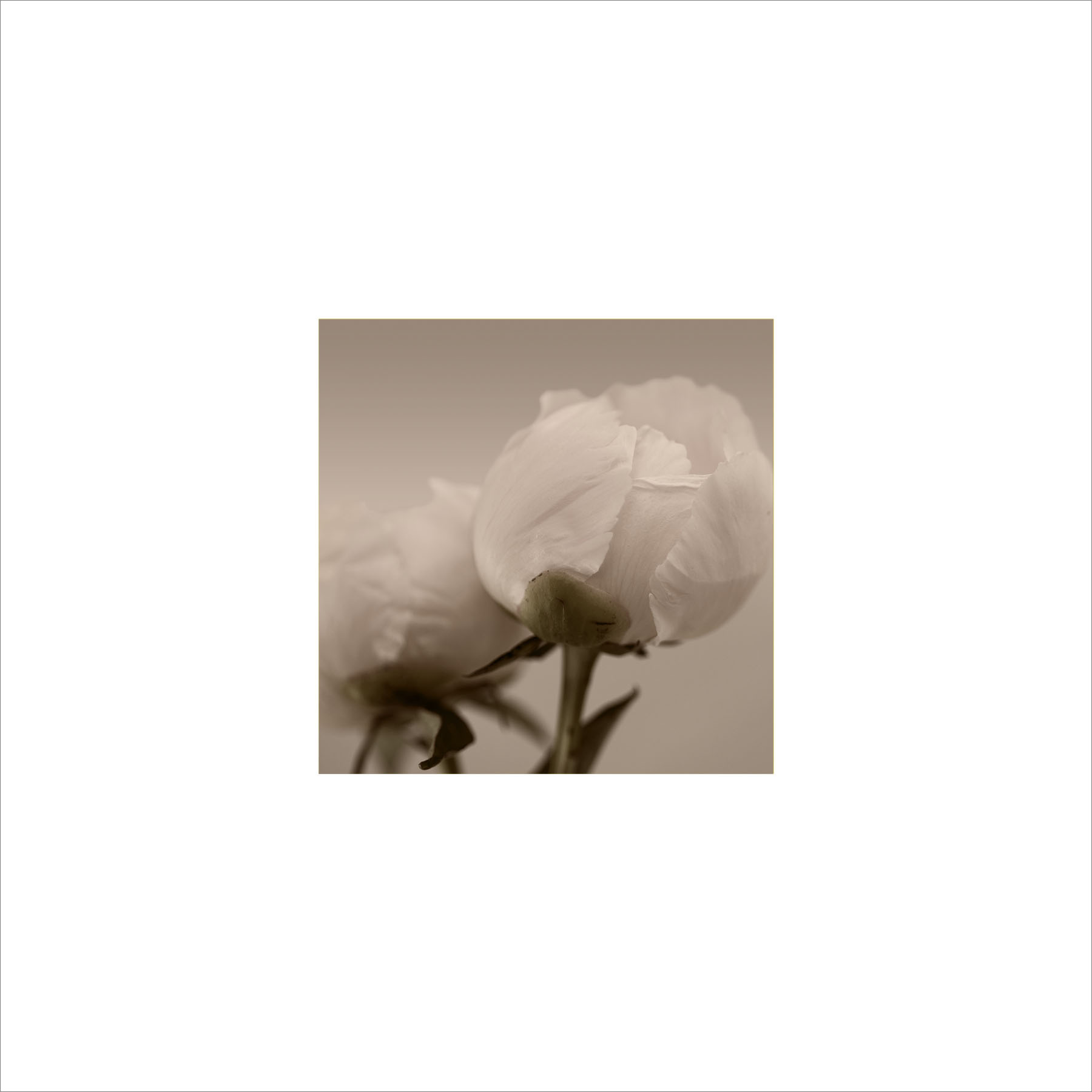 AL00202