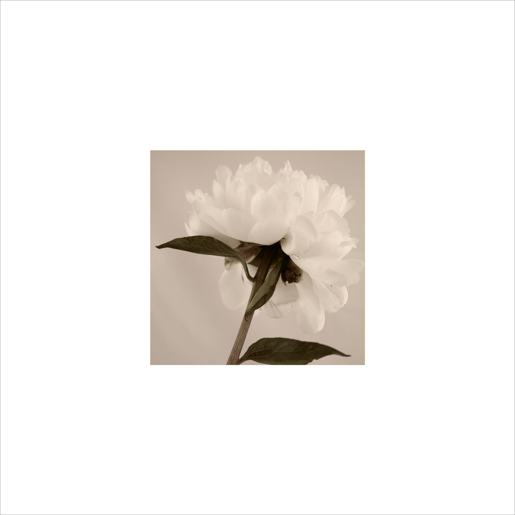 AL00203