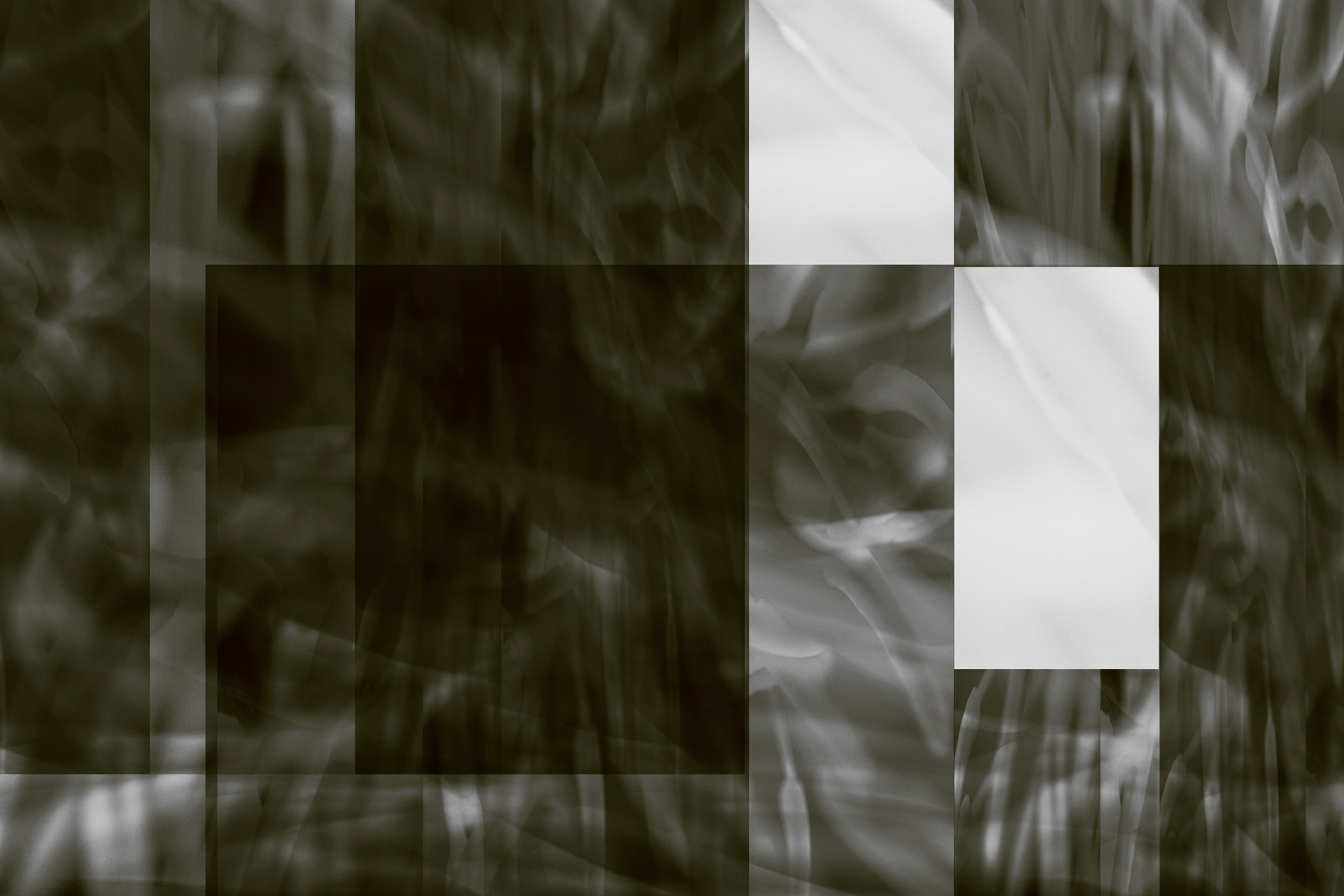 AL00244