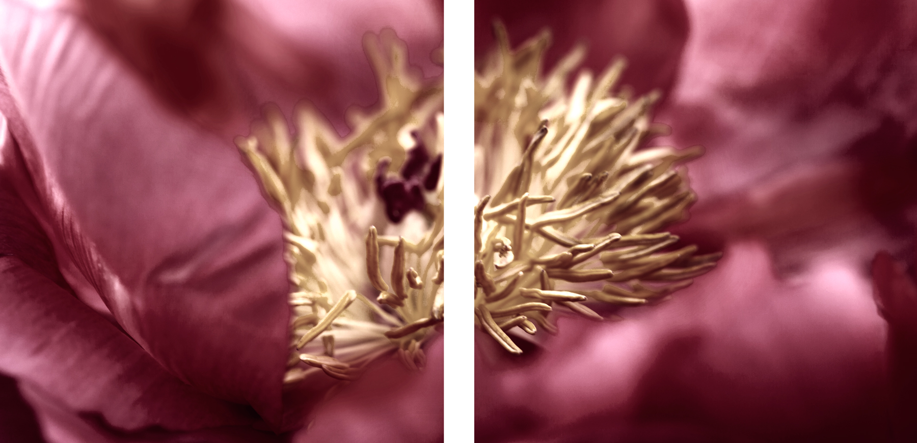 AL00252_2P