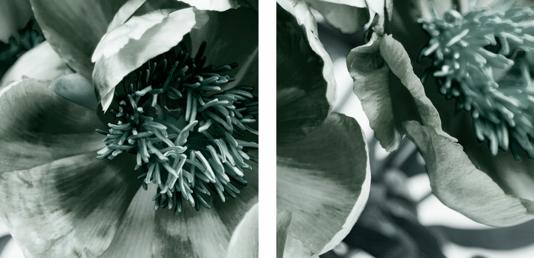 AL00253_2P