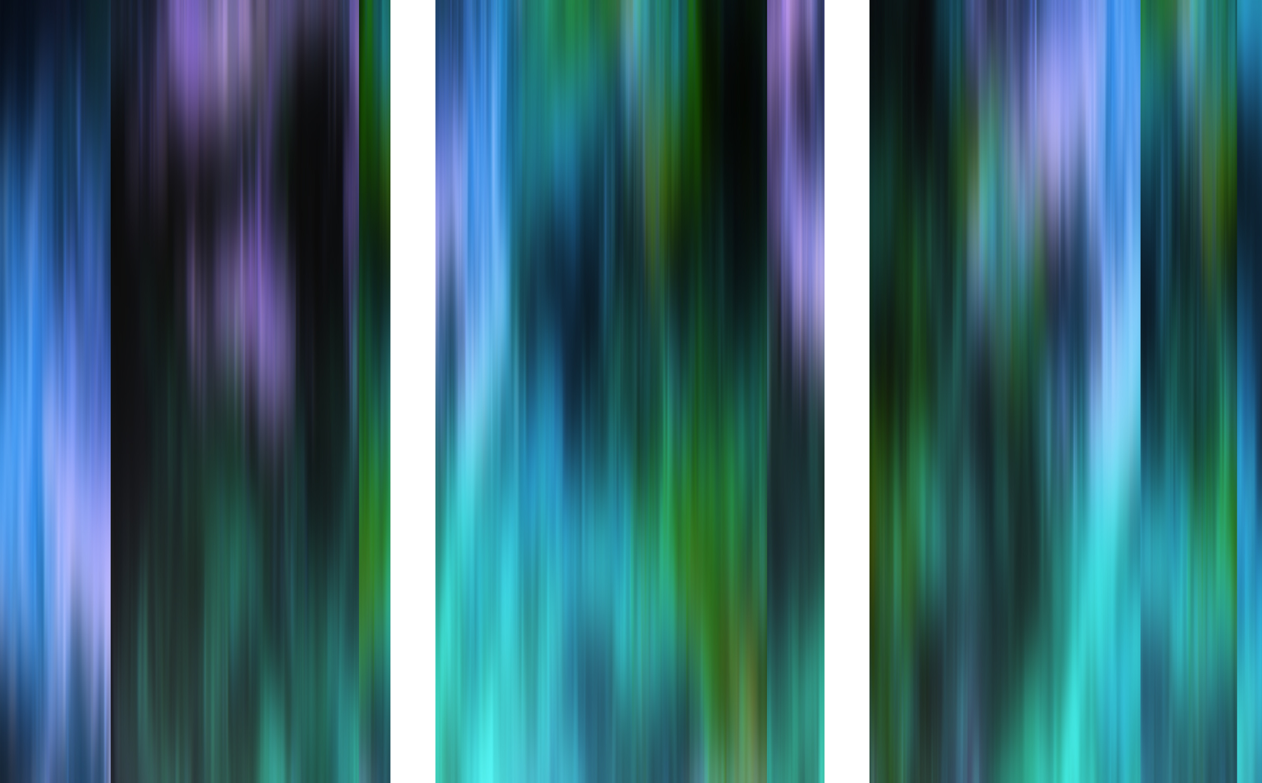 AL002593P