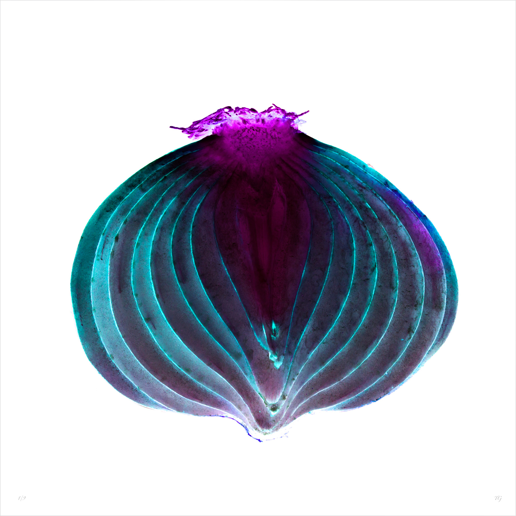AL00287 more colors