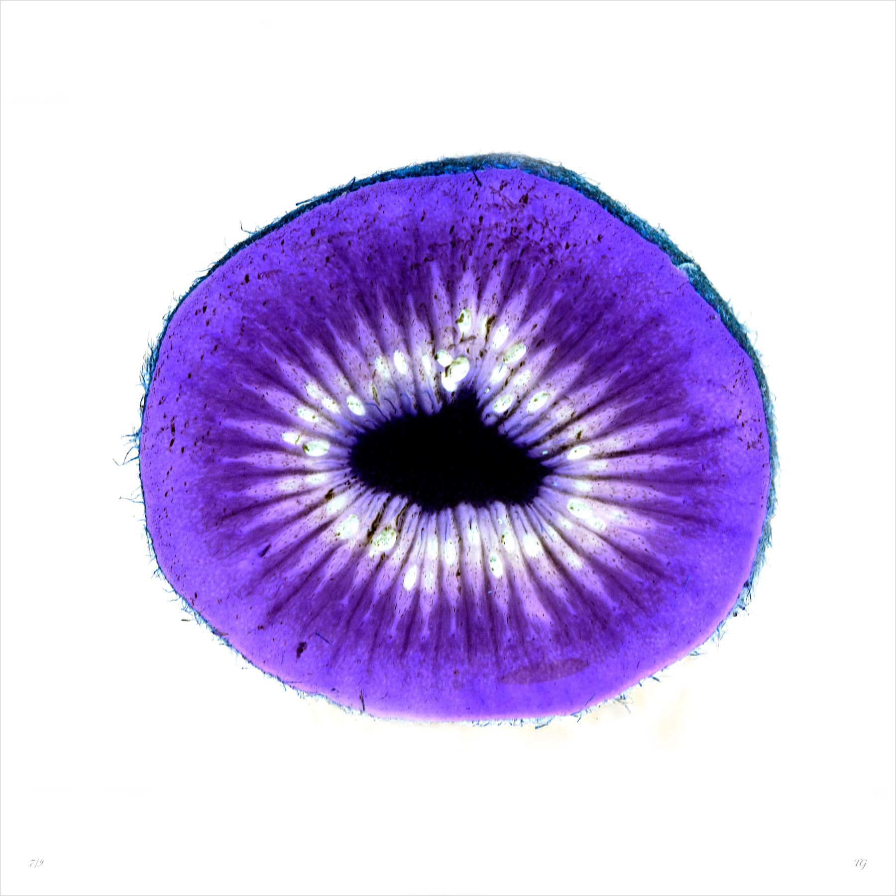 AL00293 more colors
