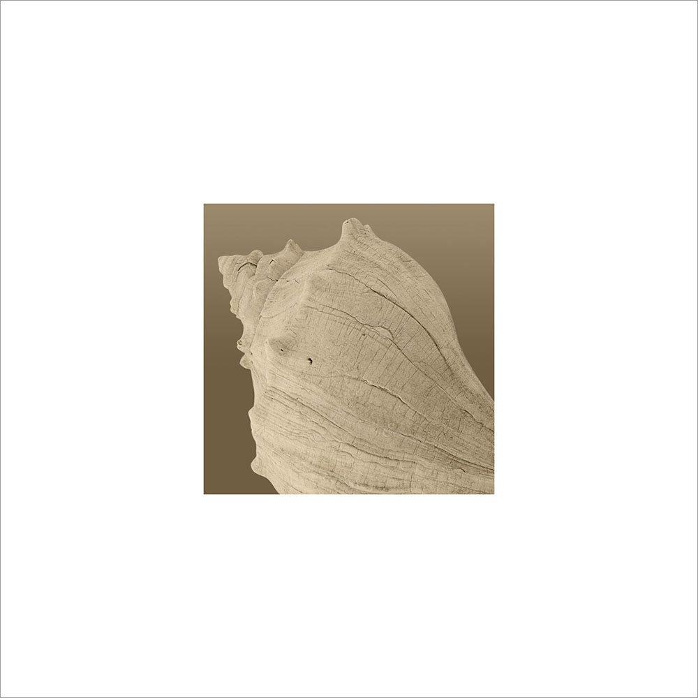 AL00296
