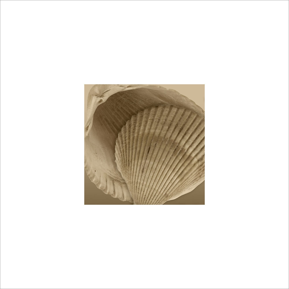 AL00298
