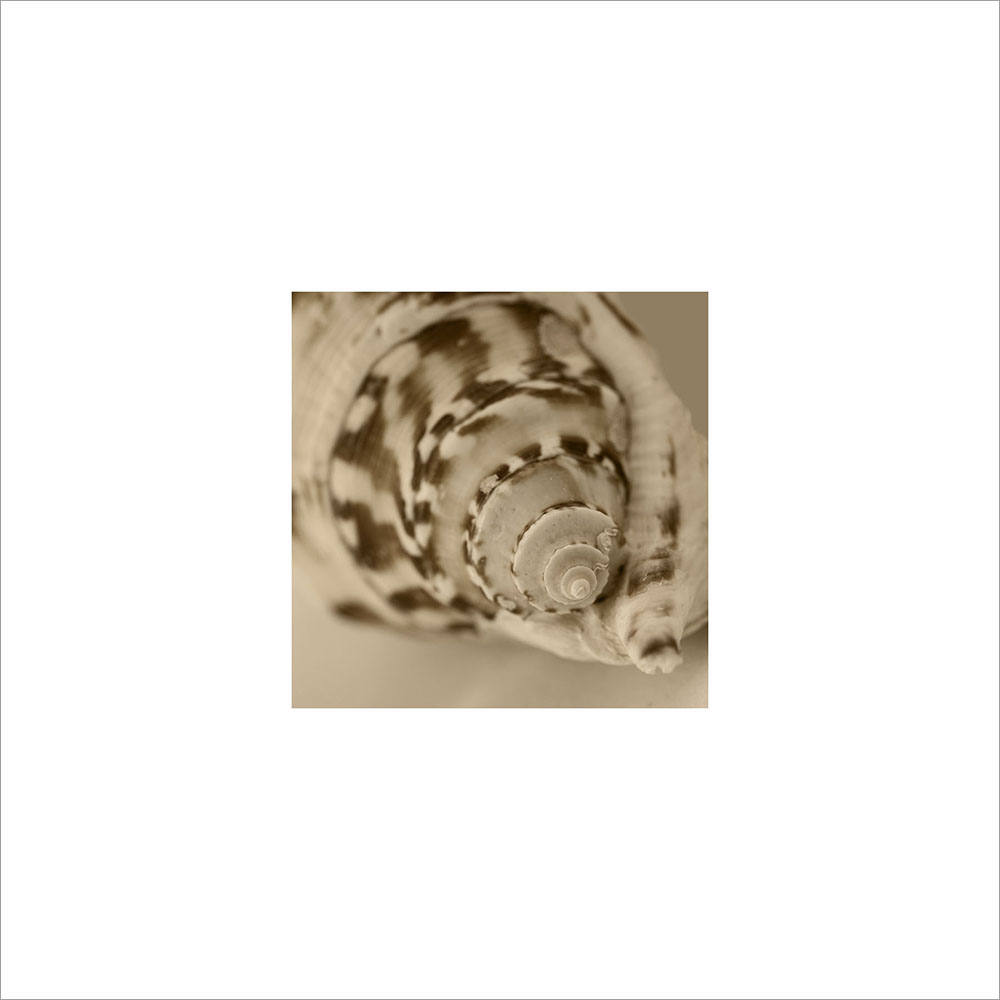 AL00303