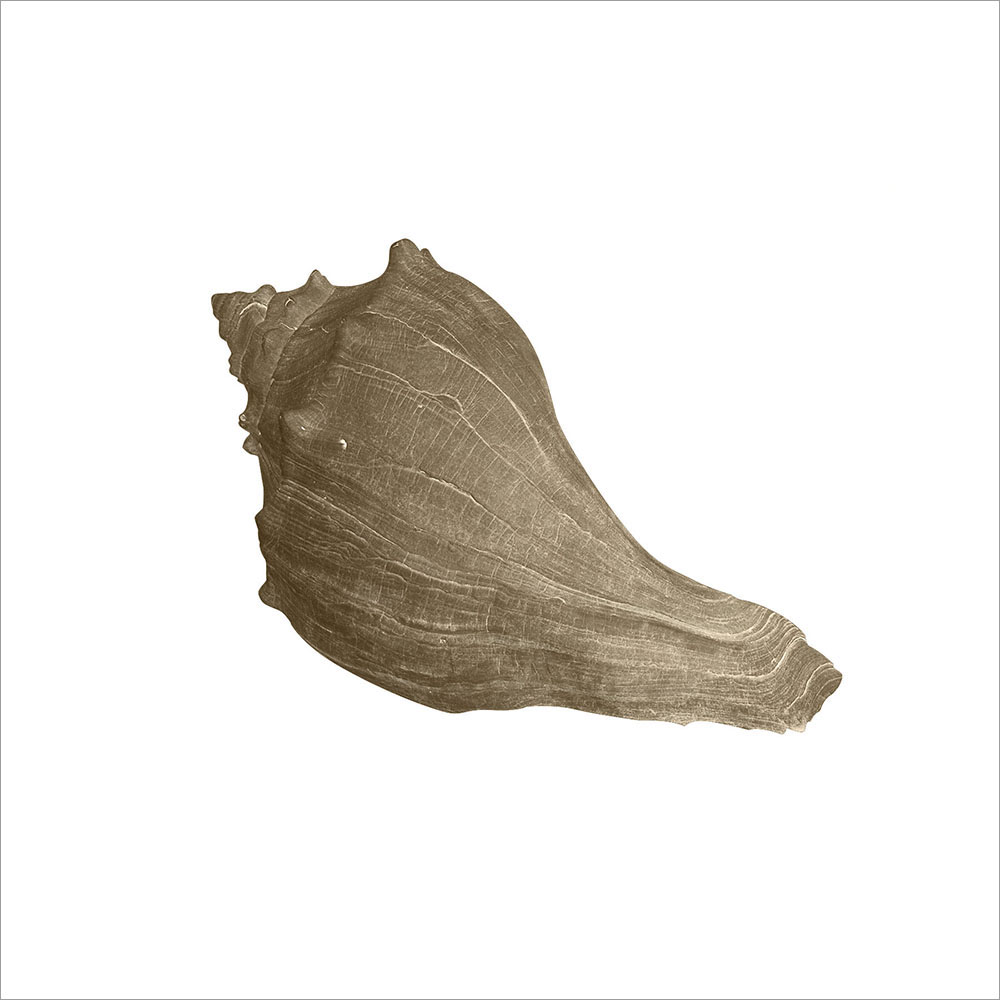 AL00304