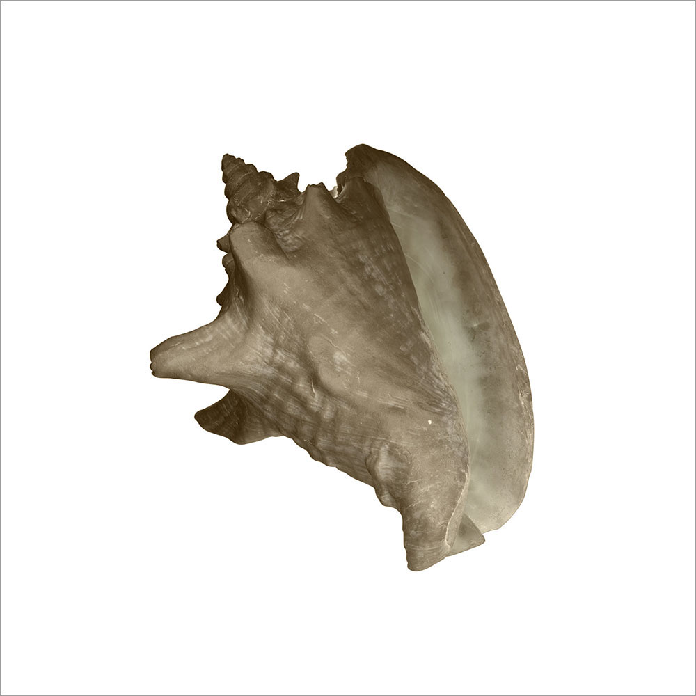 AL00305