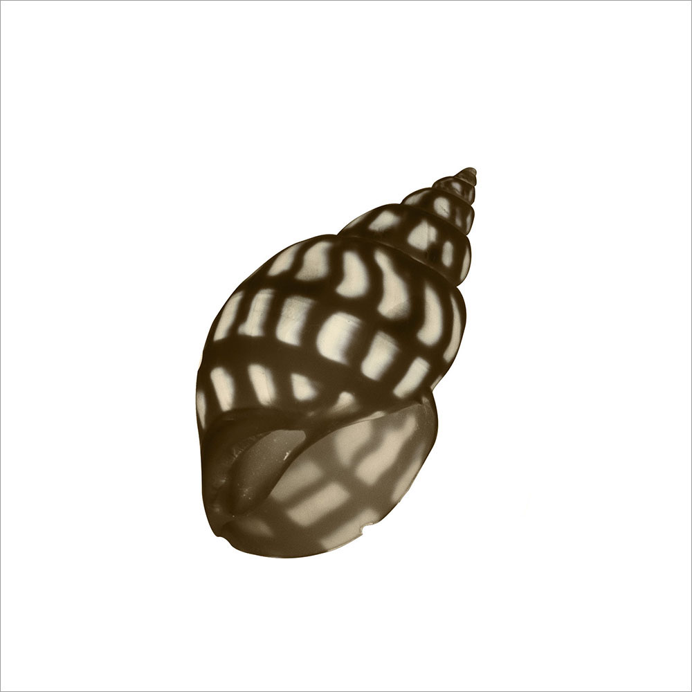 AL00306