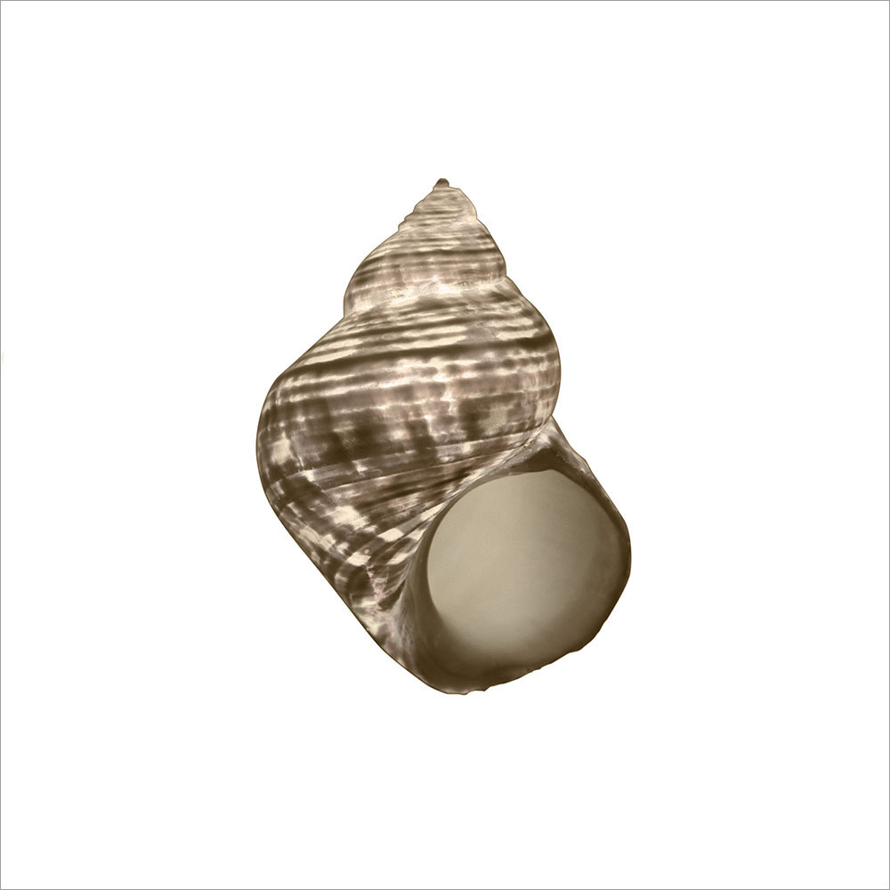 AL00307