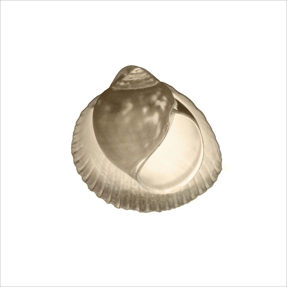 AL00308
