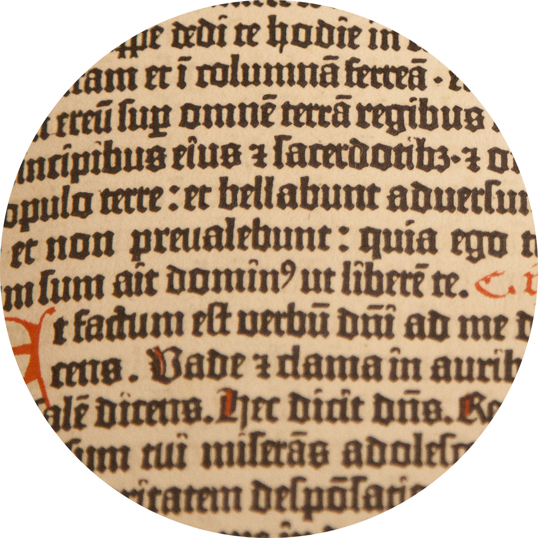 AL00361